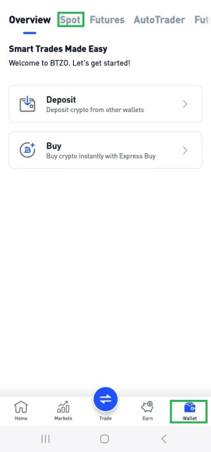 btzo wallet interface